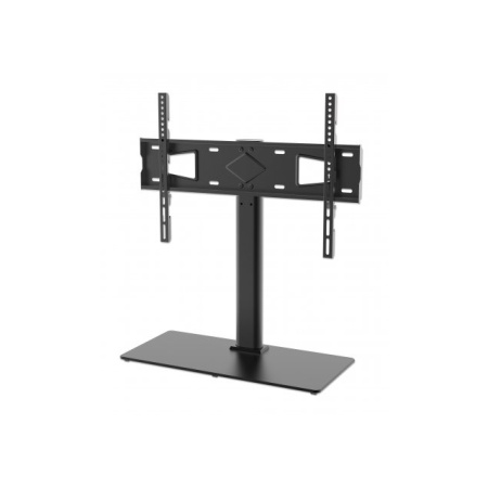 100004519_2595678222