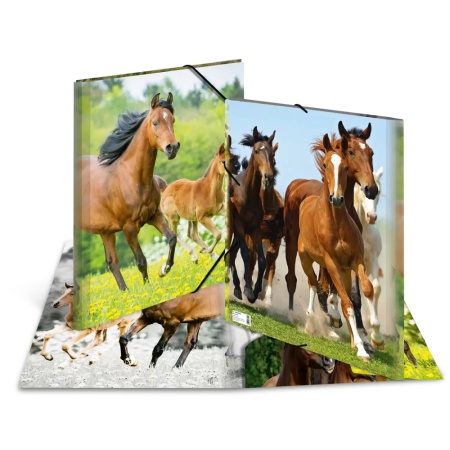 9373d089efd84fbf4d3360fdbf4b3479